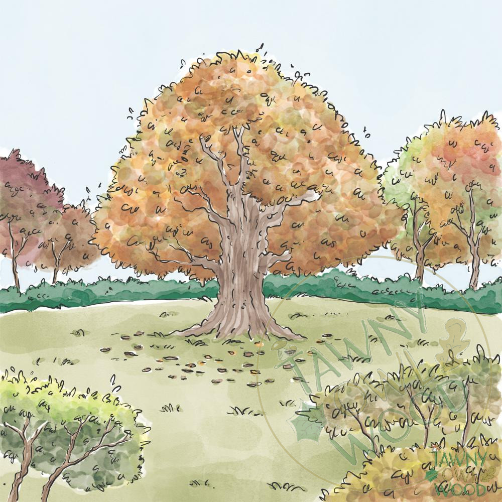 Autumn Time – Triptych Mounted Prints - Image 2