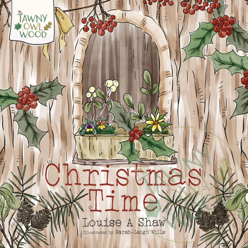 Christmas Time Picture Book