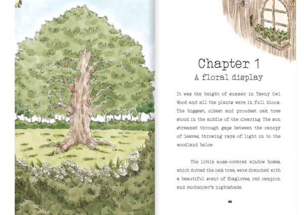 The Unexpected Guest Chapter Book - Image 3
