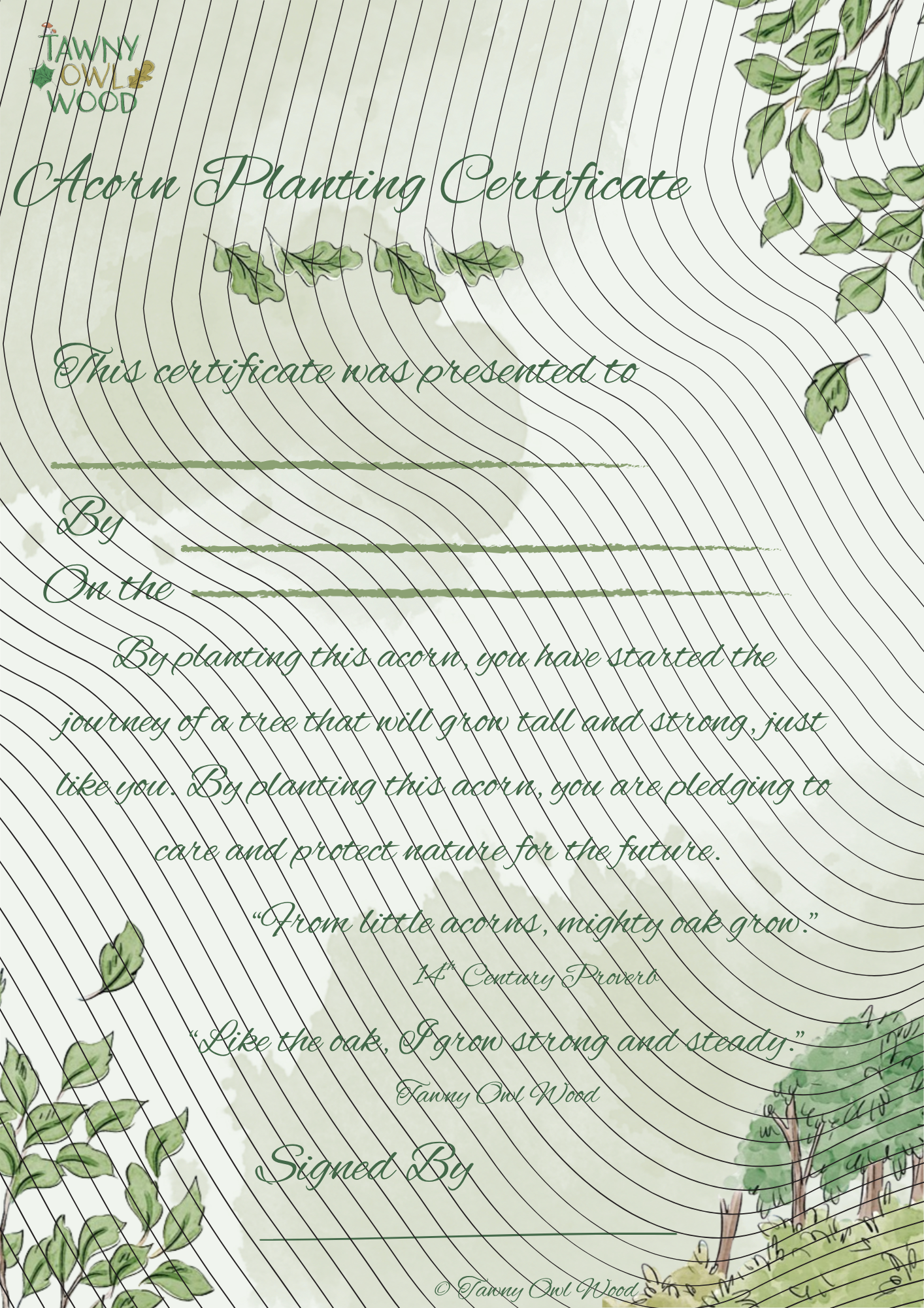 Certificate for Tree Planting