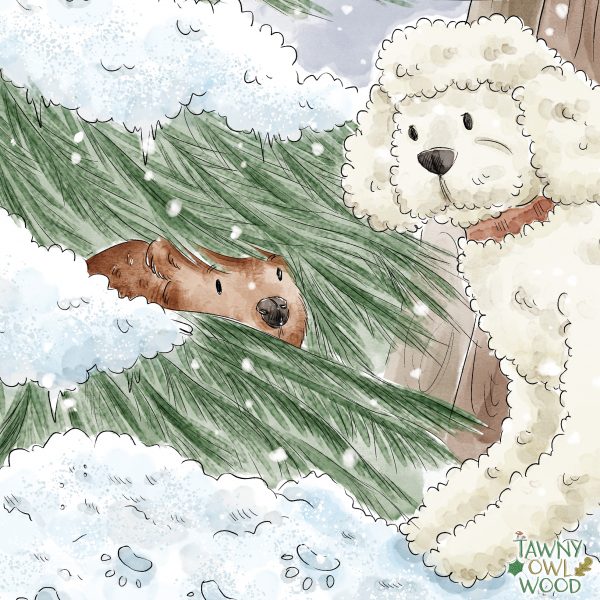 Mounted Prints from Snowy Discovery 12" x12"