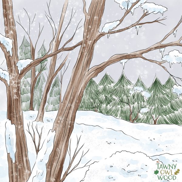 Mounted Prints from Snowy Discovery 12" x12" - Image 3