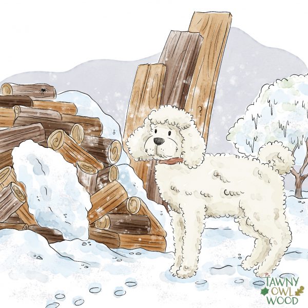 Mounted Prints from Snowy Discovery 12" x12" - Image 4