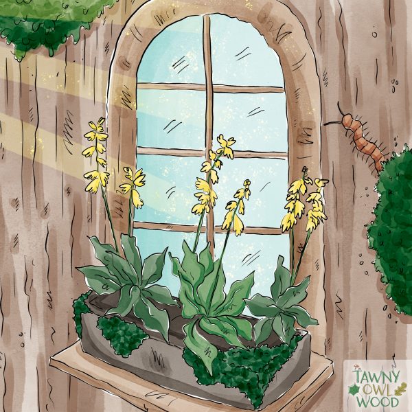 Mounted Prints from Spring Time 12" x 12" - Image 2