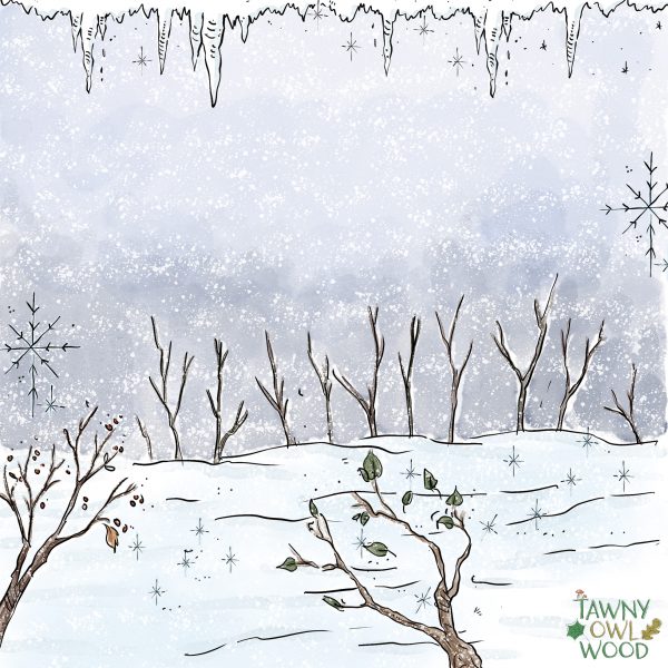 Mounted Prints from Winter Time 8" x 8"