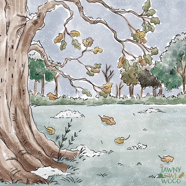 Mounted Prints from Winter Time 8" x 8" - Image 3