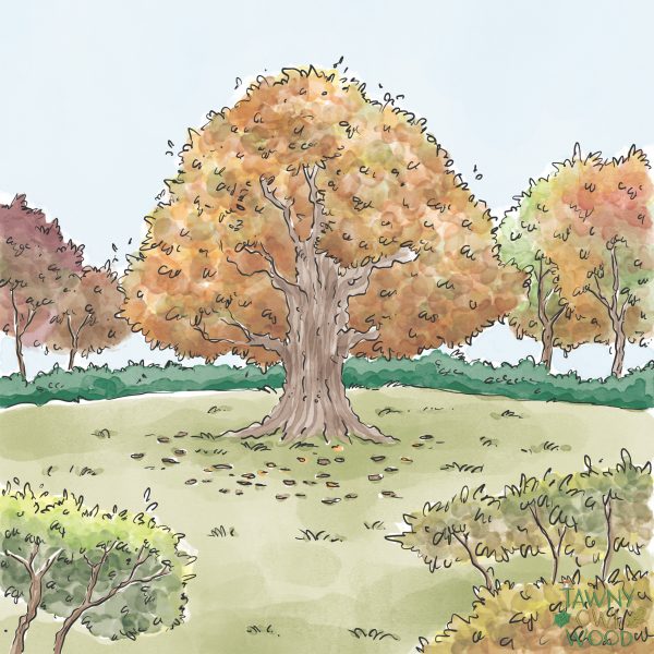 Mounted Prints from Autumn Time Tryptic