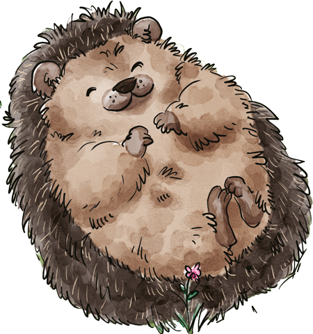 Hedgehog