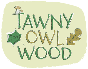 Tawny Owl Wood logo
