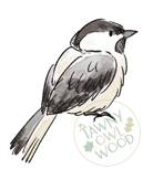 willow_tit-